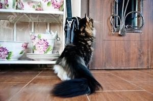 image-46