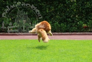image-57