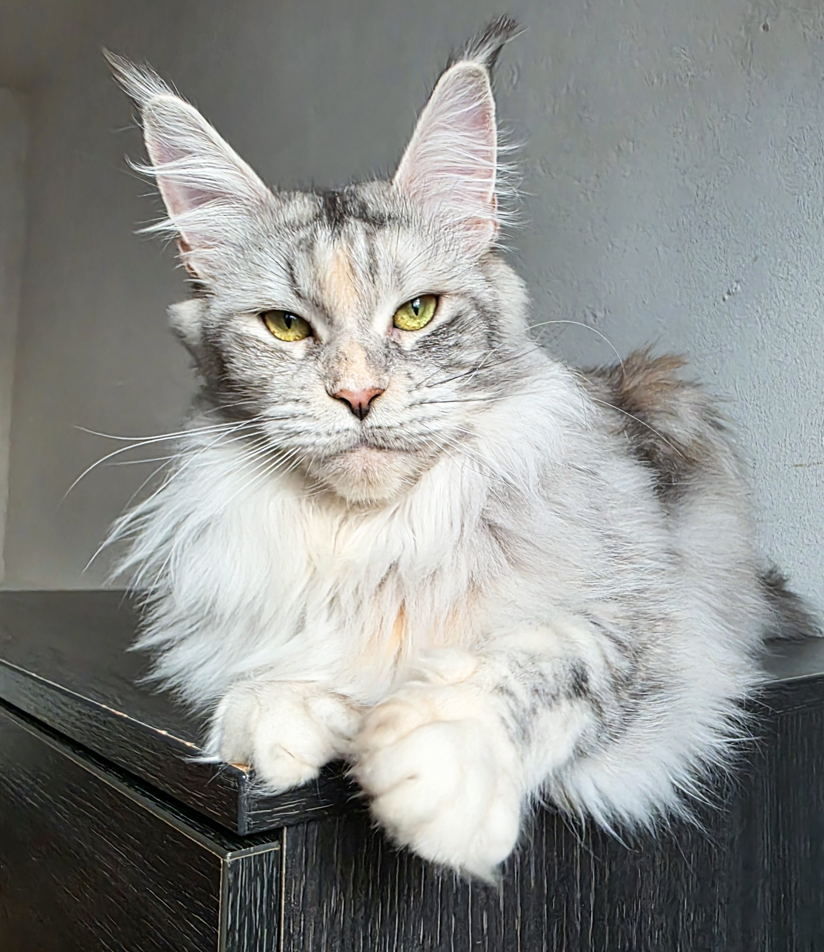 20251212_151205